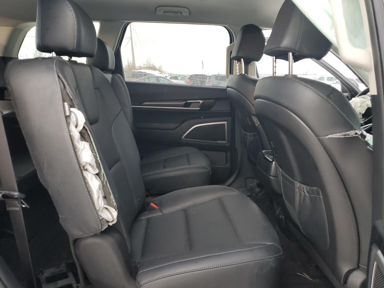 2023 KIA TELLURIDE S VIN:5XYP6DGC4PG349784
