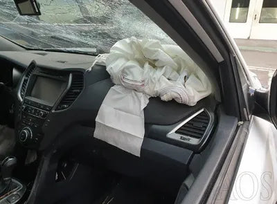 2018 Hyundai Santa FE KMHSW81UBJU793209 VIN:KMHSW81UBJU793209