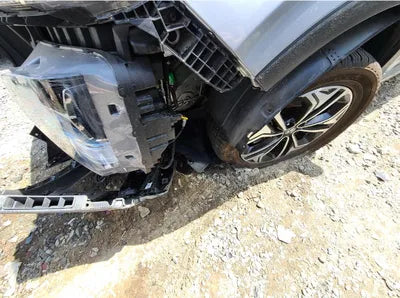 2019 Hyundai Santa FE KMHS381BBKU156411 VIN:KMHS381BBKU156411