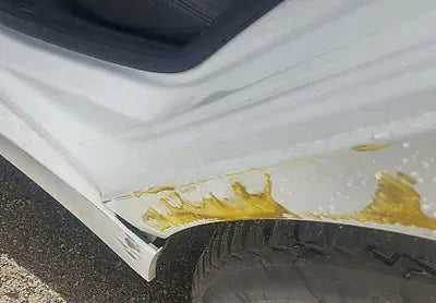 2018 BMW 320 WBA8C5100JA073836 VIN:WBA8C5100JA073836