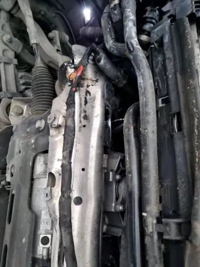 2020 Mercedes-Benz S 560 VIN: