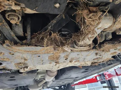 2021 Kia Carnival KNANE81BBMS045544 VIN:KNANE81BBMS045544