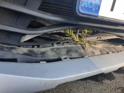 2022 BMW X1 WBA11DG08N5U73571 VIN:WBA11DG08N5U73571