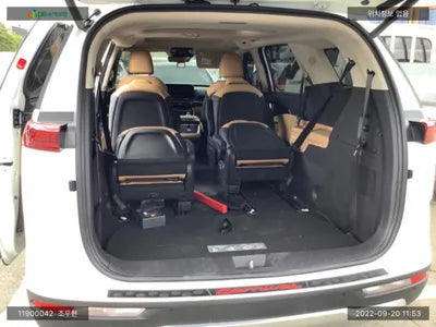 2020 Kia Carnival KNANC81BBMS014331 VIN:KNANC81BBMS014331