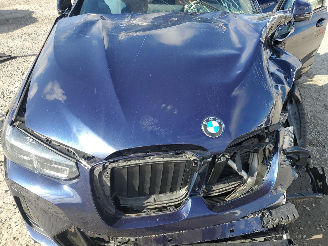 2023 BMW X3 SDRIVE30I VIN:5UX43DP05P9N51597