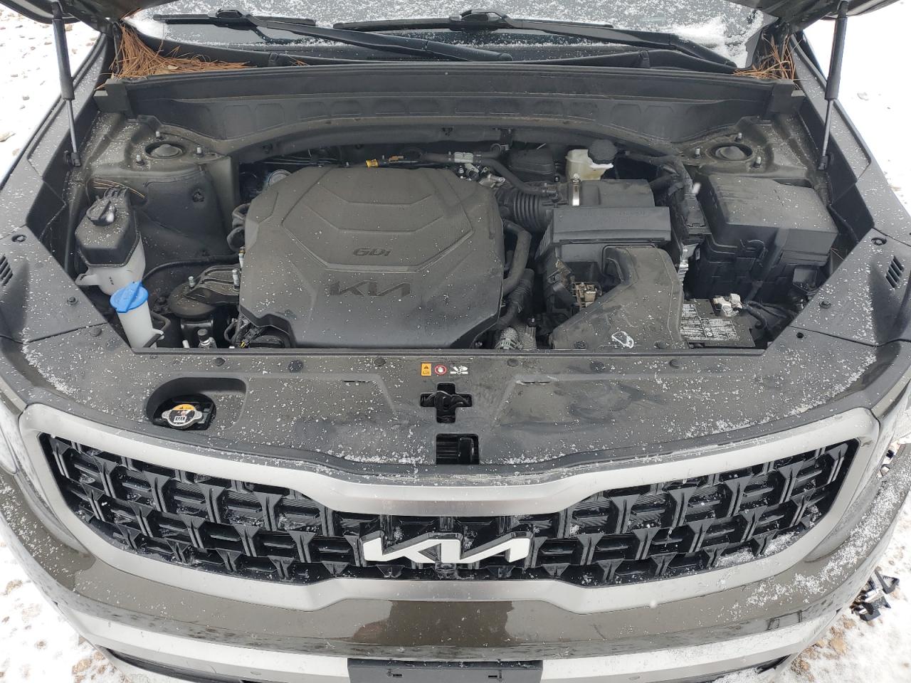 2023 KIA TELLURIDE SX VIN:5XYP5DGC3PG354591