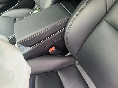 2020 Tesla Model 3 5YJ3E1EB0LF733542 VIN:5YJ3E1EB0LF733542