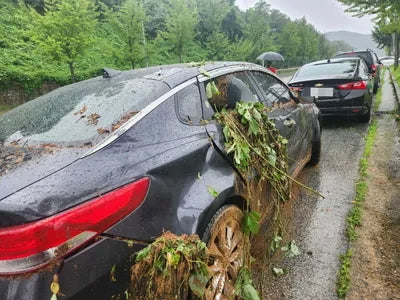 2017 Kia K5 654KMKNAGU411BHA1 VIN:654KMKNAGU411BHA1