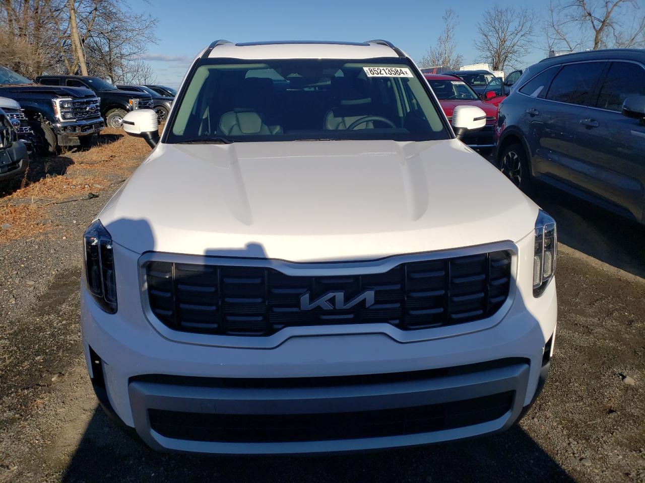 2024 KIA TELLURIDE S VIN:5XYP6DGCXRG510156