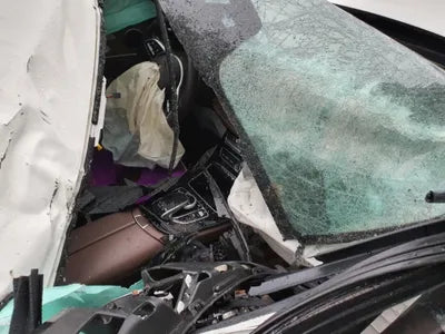 2020 Mercedes-Benz E 220 W1KZF0FB7LA823012 VIN:W1KZF0FB7LA823012