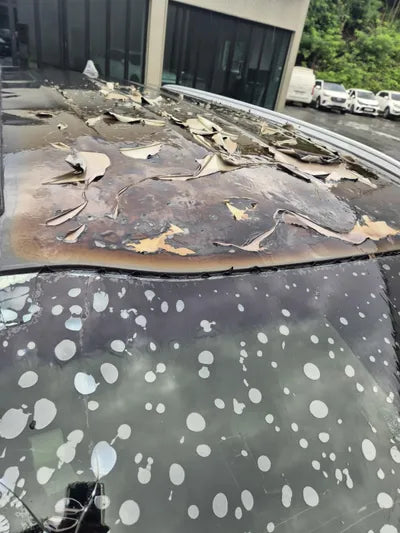 2017 Kia Sorento KNAPS81BBJA419260 VIN:KNAPS81BBJA419260