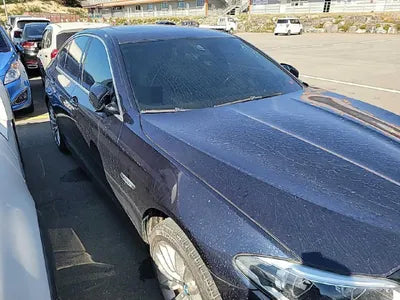 2016 BMW 520 543KMWBA5E5100GG0 VIN:543KMWBA5E5100GG0