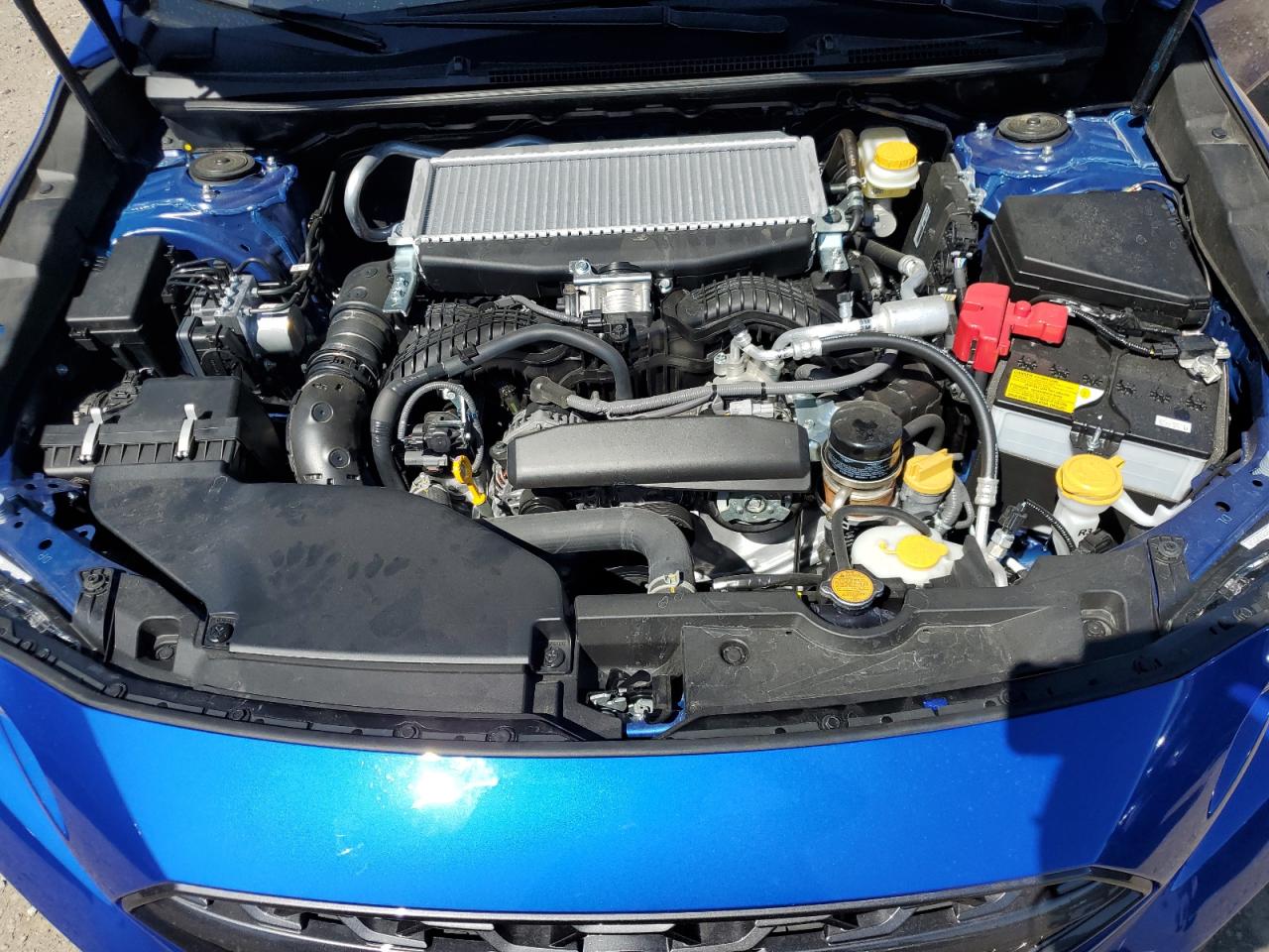 2023 SUBARU WRX LIMITED VIN:JF1VBAL6XP9824640