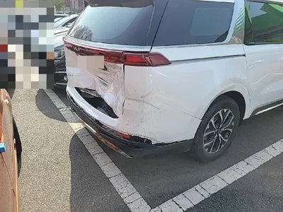 2022 Kia Carnival KNANE81BBNS166263 VIN:KNANE81BBNS166263