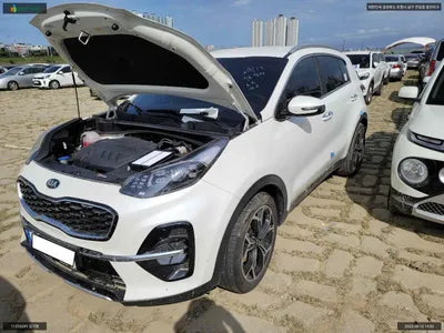 2021 Kia Sportage KNAPN813BMK924126 VIN:KNAPN813BMK924126