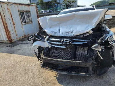 2016 Hyundai Santa FE KMHSW81UBGU700005 VIN:KMHSW81UBGU700005