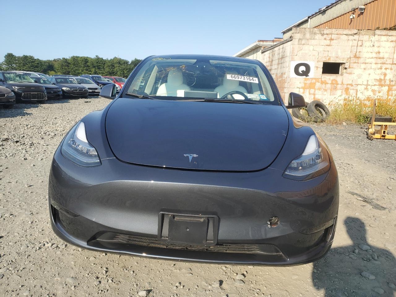 2023 TESLA MODEL Y  VIN:7SAYGDEE8PF589095