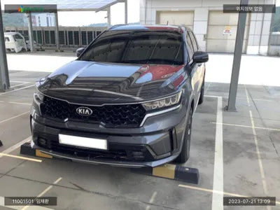 2020 Kia Sorento KNARL81BGMA025523 VIN:KNARL81BGMA025523