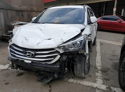 2018 Hyundai Santa FE KMHSW81UBJU793209 VIN:KMHSW81UBJU793209