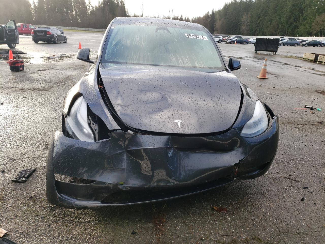 2024 TESLA MODEL Y  VIN:7SAYGDEF5RF123670