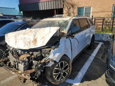 2021 Kia Carnival KNANE81BBNS155173 VIN:KNANE81BBNS155173