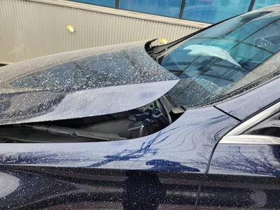 2017 Mercedes-Benz E 220 WDDZF0EBXHA166585 VIN:WDDZF0EBXHA166585