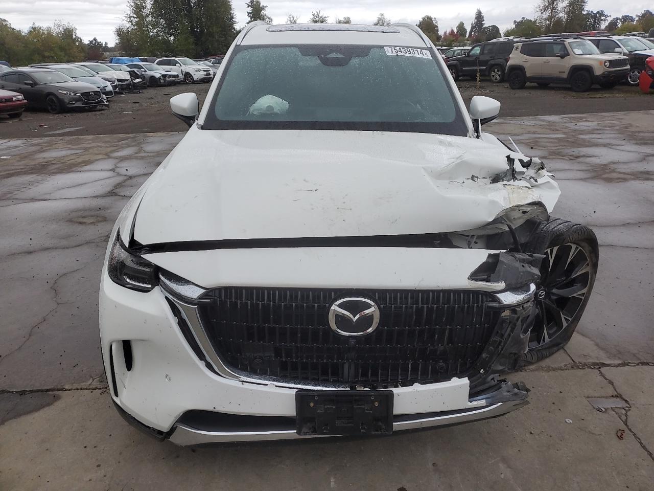 2024 MAZDA CX-90 PREMIUM PLUS VIN:JM3KKEHA2R1107384