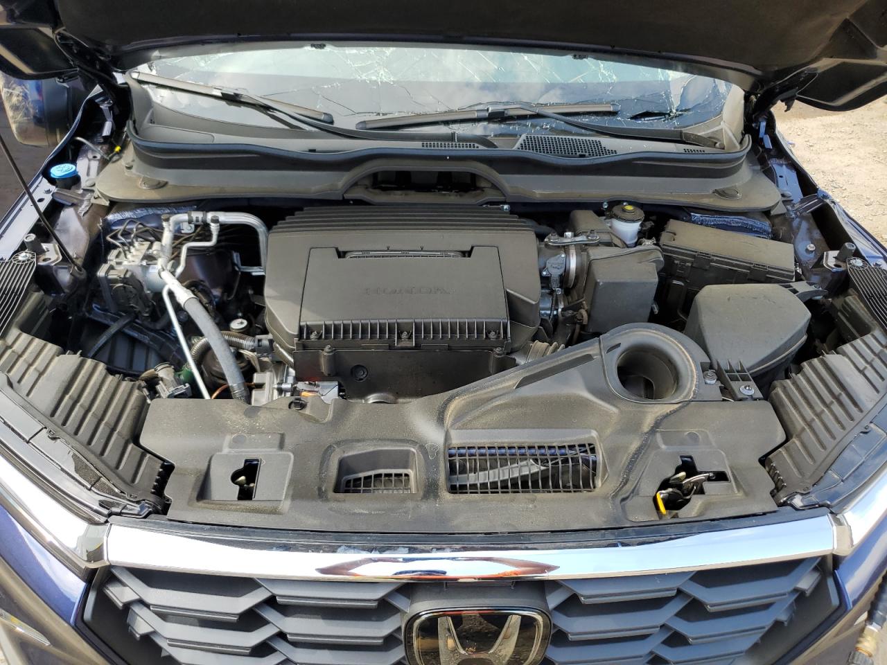 2024 HONDA PILOT EXL VIN:5FNYG2H56RB004448