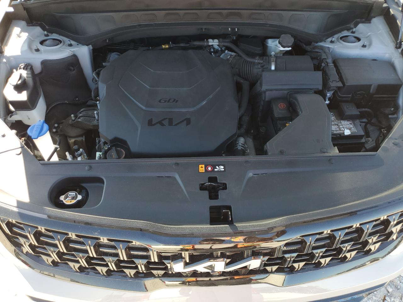 2024 KIA TELLURIDE SX VIN:5XYP5DGC5RG429097