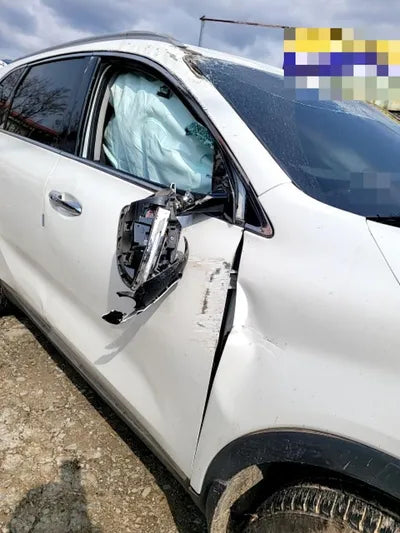 2020 Kia Sorento KNAPH811BLA645981 VIN:KNAPH811BLA645981