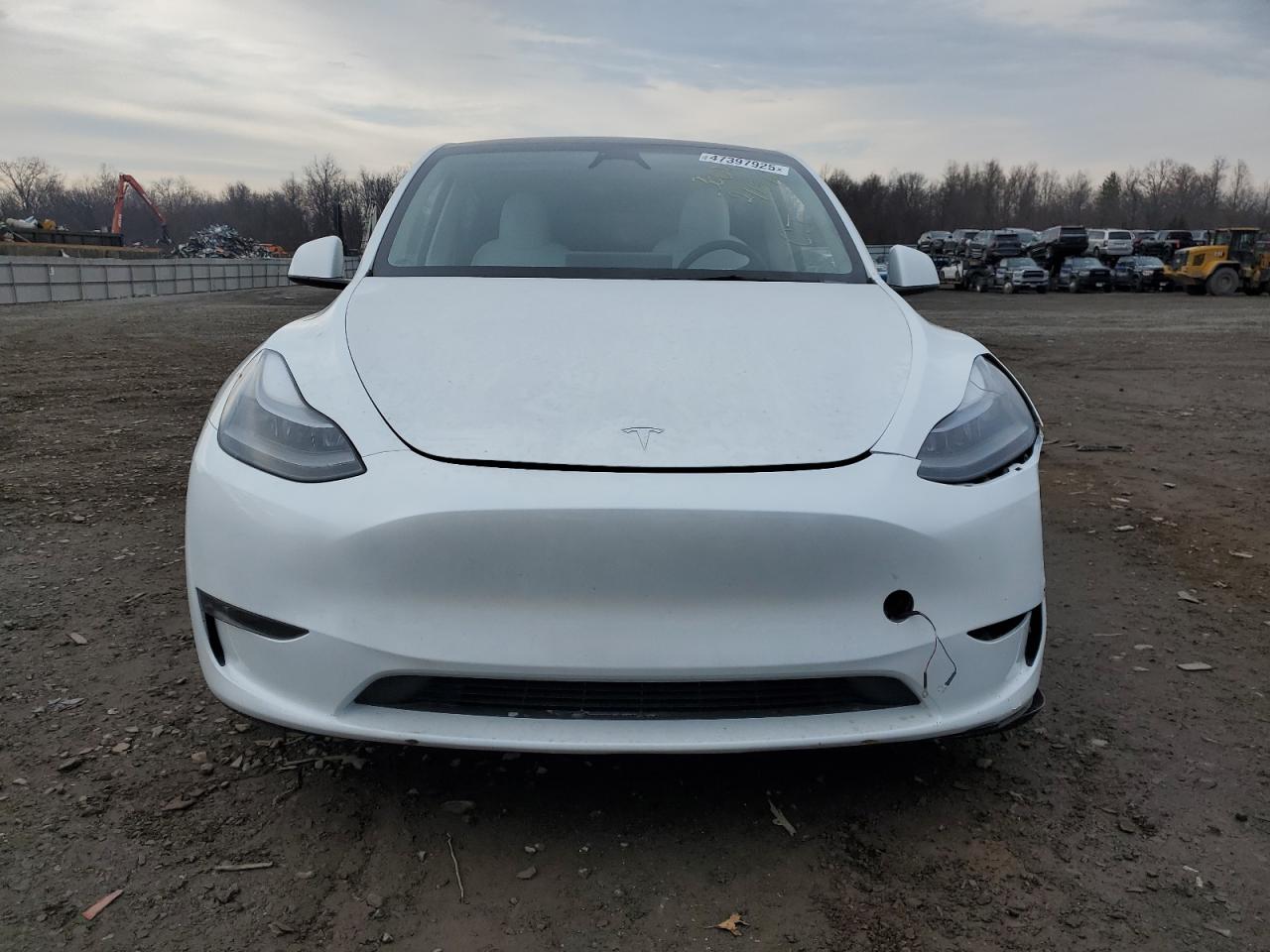 2024 TESLA MODEL Y  VIN:7SAYGDEE7RA234919