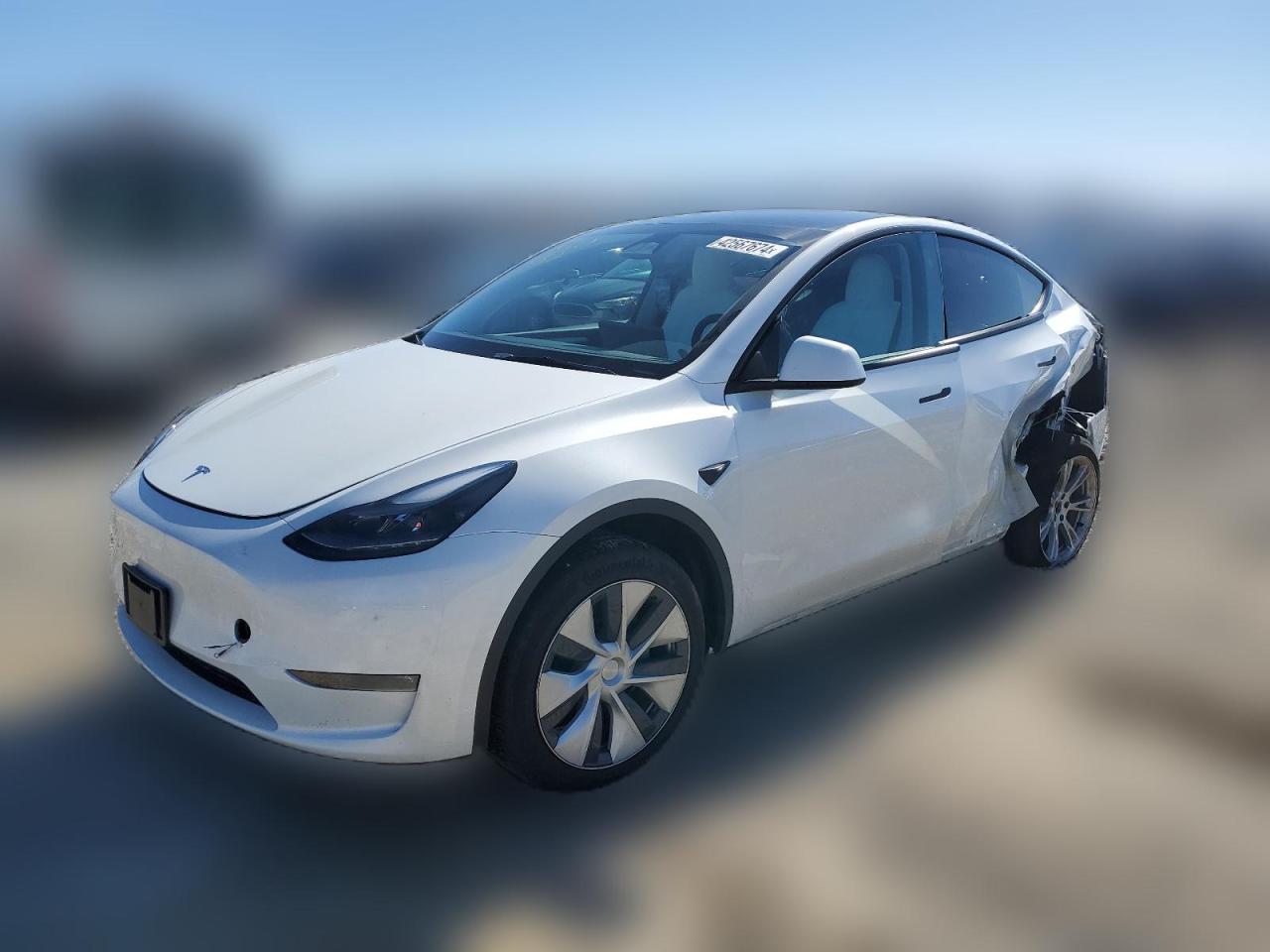 2023 TESLA MODEL Y  VIN:7SAYGDEE7PF810587