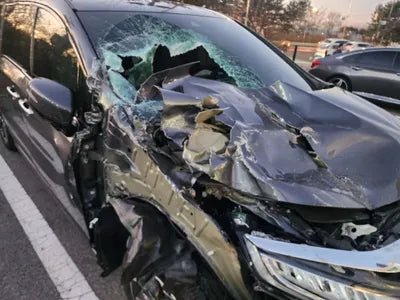 2022 Honda Odyssey 5KBRL6890NB600078 VIN:5KBRL6890NB600078