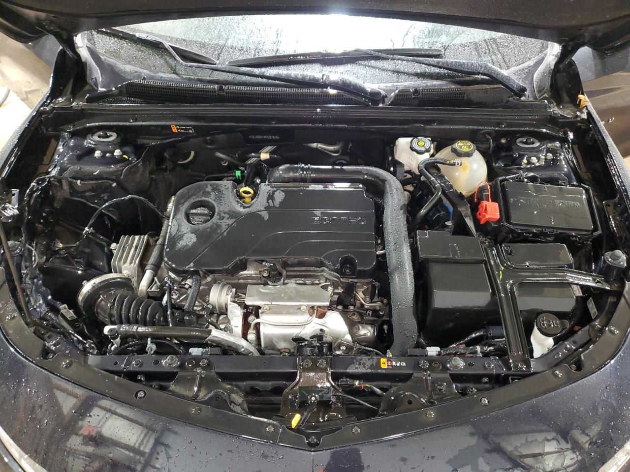 2023 CHEVROLET MALIBU LT VIN:1G1ZD5ST4PF207815