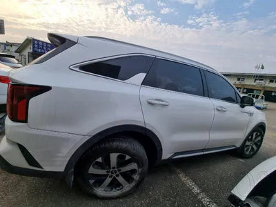 2021 Kia Sorento KNARL81BHMA045694 VIN:KNARL81BHMA045694