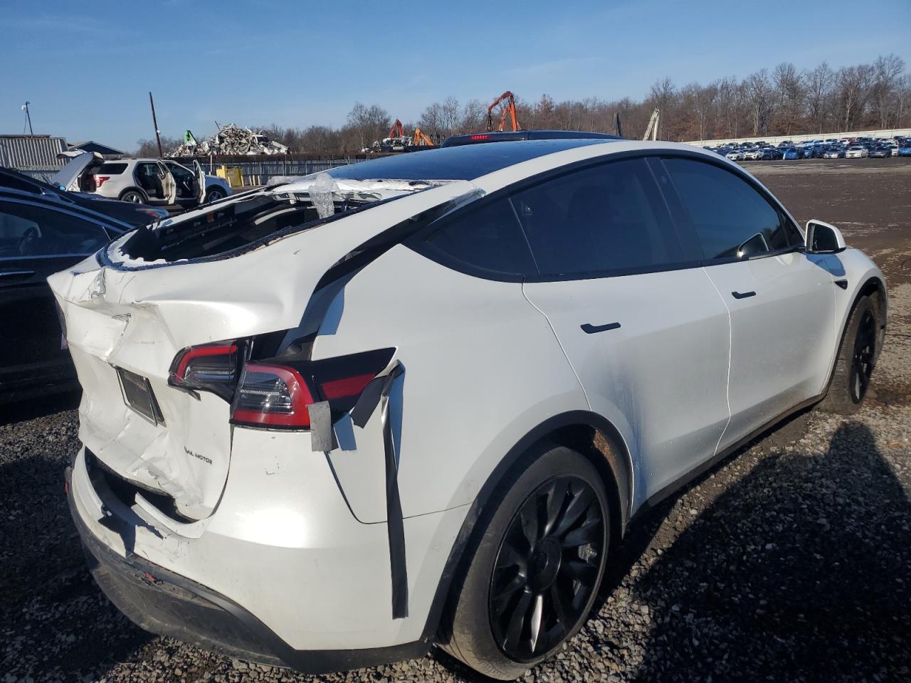 2023 TESLA MODEL Y  VIN:7SAYGAEE1PF611713