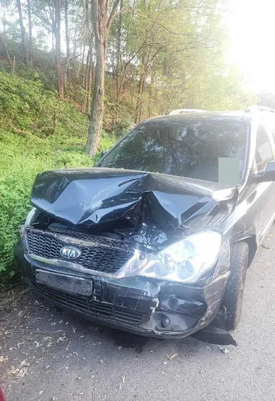 2014 Kia Carnival VIN: