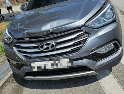 2016 Hyundai Santa FE KMHSW81XBGU636052 VIN:KMHSW81XBGU636052