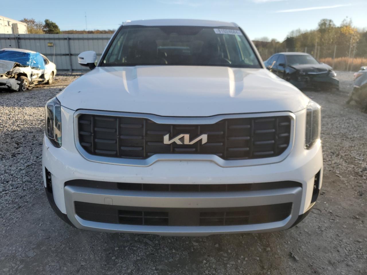 2024 KIA TELLURIDE S VIN:5XYP6DGC4RG555674