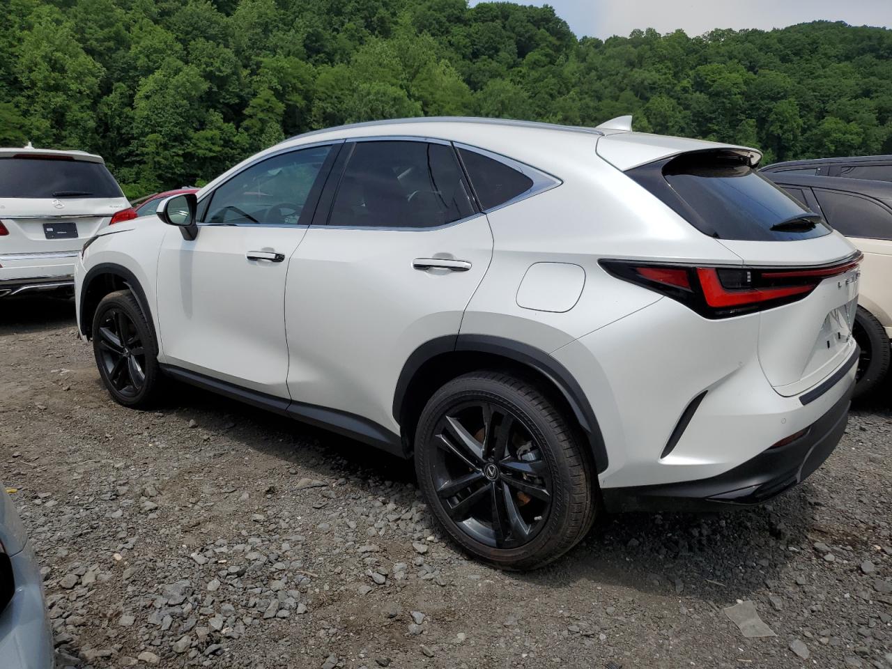 2023 LEXUS NX 450H VIN:JTJHKCFZ9P2019601