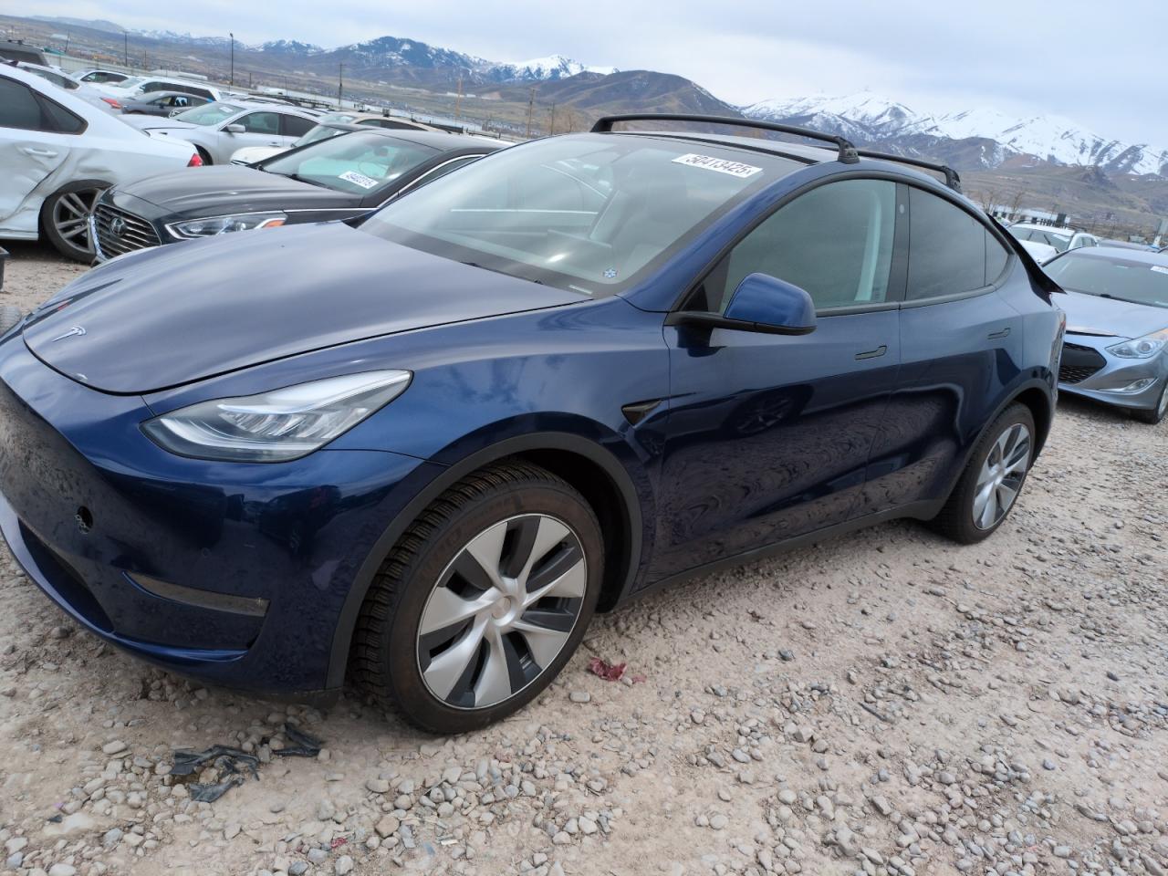 2022 TESLA MODEL Y  VIN:7SAYGDEE2NA009818
