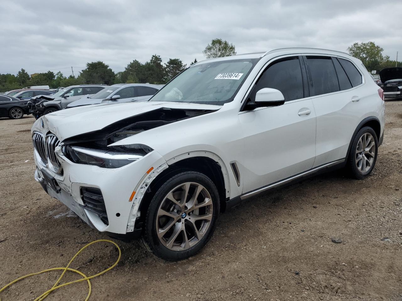 2023 BMW X5 XDRIVE40I VIN:5UXCR6C03P9N87381