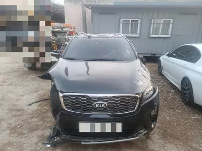 2019 Kia Sorento KNAPH81BBKA501737 VIN:KNAPH81BBKA501737