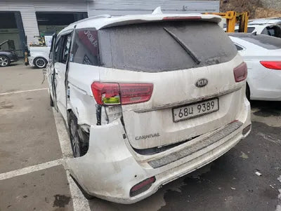 2019 Kia Carnival KNAMB81ABKS592317 VIN:KNAMB81ABKS592317