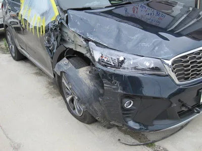 2019 Kia Sorento KNAPF81ABLA633355 VIN:KNAPF81ABLA633355