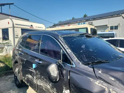 2018 Hyundai Santa FE KMHS381BBKU030465 VIN:KMHS381BBKU030465