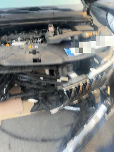 2020 Kia Carnival KNAMB81ABLS648113 VIN:KNAMB81ABLS648113