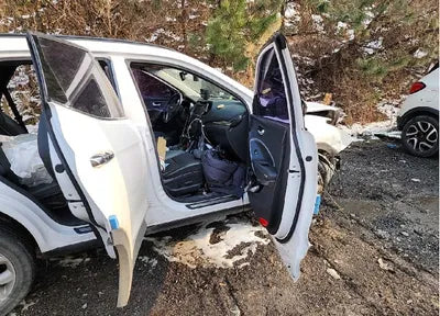 2015 Hyundai Santa FE KMHSW81UBFU479723 VIN:KMHSW81UBFU479723