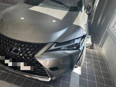 2019 Lexus UX 250 JTHY6JBH3K2002938 VIN:JTHY6JBH3K2002938