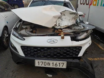 2021 Hyundai Kona KMHK281EGMU060134 VIN:KMHK281EGMU060134